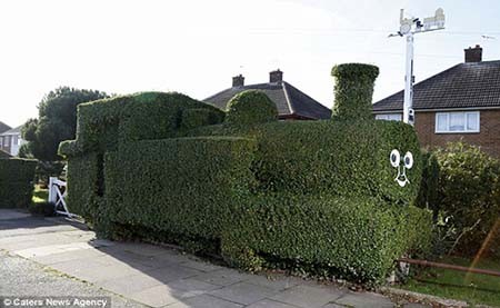 اخبار,اخبار گوناگون,آراستن خلاقانه بوته ها