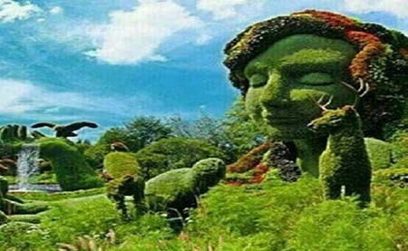 اخبار,اخبار گوناگون,آراستن خلاقانه بوته ها