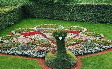 اخبار,اخبار گوناگون,آراستن خلاقانه بوته ها