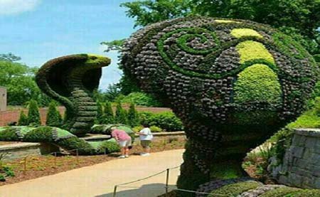 اخبار,اخبار گوناگون,آراستن خلاقانه بوته ها