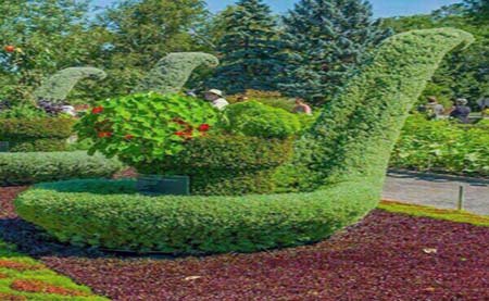 اخبار,اخبار گوناگون,آراستن خلاقانه بوته ها