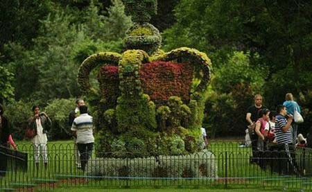 اخبار,اخبار گوناگون,آراستن خلاقانه بوته ها