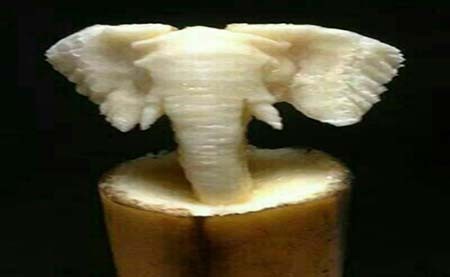 اخبار,اخبار گوناگون,مجسمه‌سازی بی‌نظیر با موز