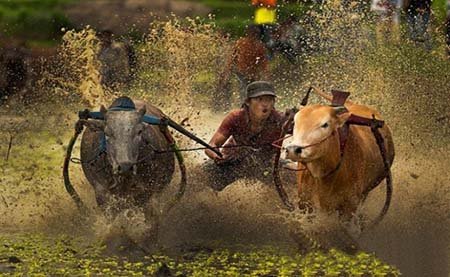 تصاویر برتر ماه از نگاه نشنال جئوگرافیک + تصاویر 