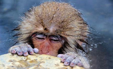 تصاویر برتر ماه از نگاه نشنال جئوگرافیک + تصاویر 