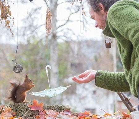 اخبار,اخبار گوناگون,تصاویر حیوانات