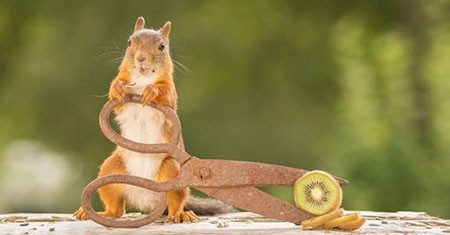 اخبار,اخبار گوناگون,تصاویر حیوانات