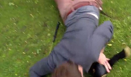 اخبار,اخبار گوناگون,روباهی که عاشق توپ گلف‌ است