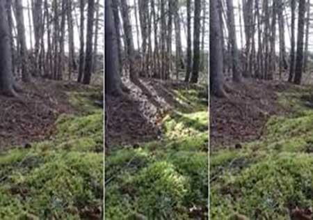 لحظه نفس کشیدن زمین توسط دوربین ضبط شد