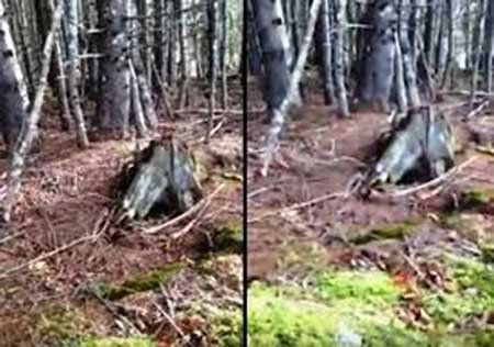 لحظه نفس کشیدن زمین توسط دوربین ضبط شد