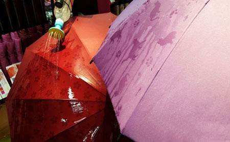 اخبار,اخبار گوناگون,چتر