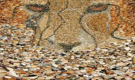 اخبار,اخبار گوناگون,تابلو های شنی