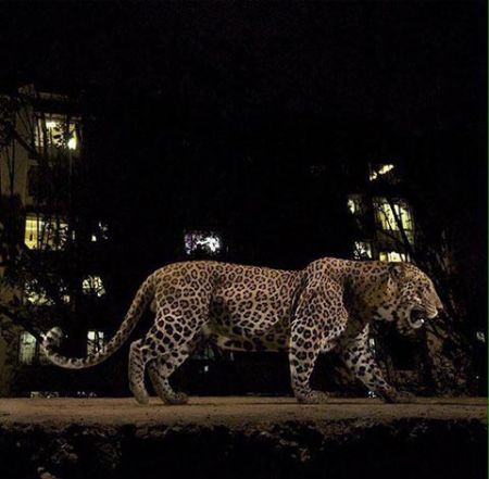 اخبار,اخبار امروز,اخبار جدید