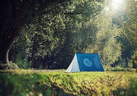 اخبار,اخبار گوناگون,کتاب های متفاوت 