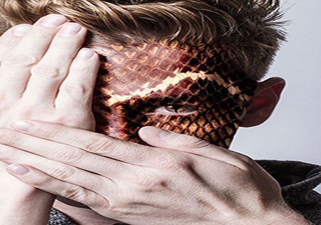 اخبار,اخبار گوناگون,چهره های حیات‌وحش