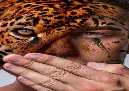 اخبار,اخبار گوناگون,چهره های حیات‌وحش