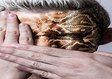 اخبار,اخبار گوناگون,چهره های حیات‌وحش