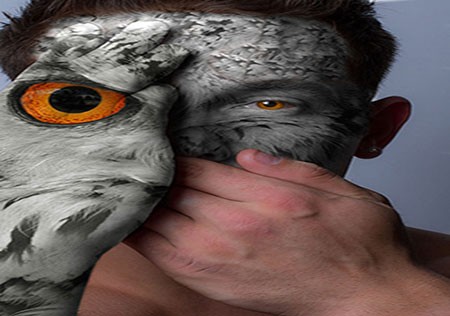 اخبار,اخبار گوناگون,چهره های حیات‌وحش