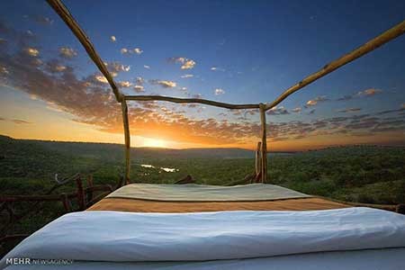 اخبار,اخبار گوناگون,هتل هایی با اتاق های روباز