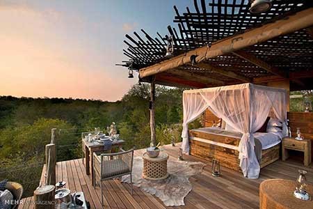 اخبار,اخبار گوناگون,هتل هایی با اتاق های روباز