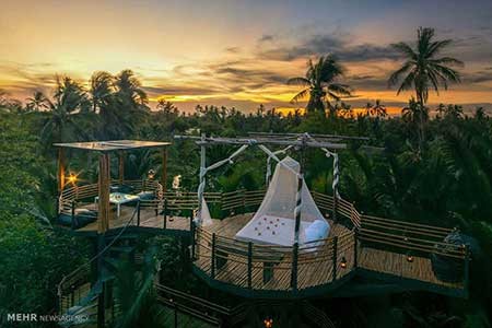 اخبار,اخبار گوناگون,هتل هایی با اتاق های روباز