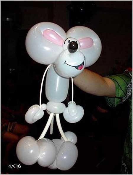 اخبار,اخبار گوناگون,بادکنک آرایی