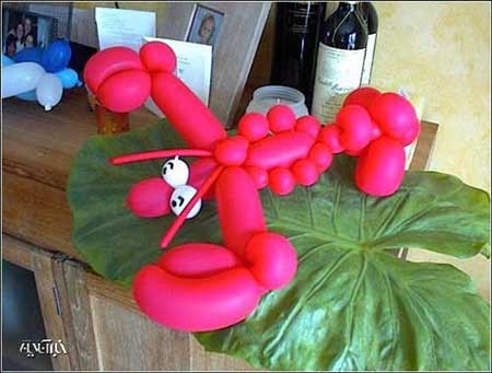 اخبار,اخبار گوناگون,بادکنک آرایی