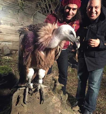 اخبار,اخبار فرهنگی,عکس بازیگران