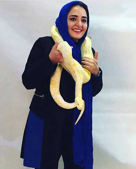 اخبار,اخبار فرهنگی,عکس بازیگران