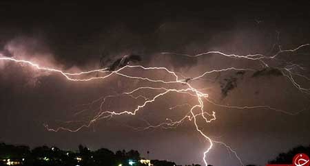 اخبار,اخبارگوناگون , تصاویر  جالب 