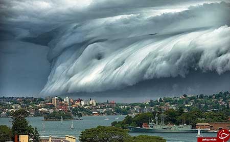 اخبار,اخبارگوناگون , تصاویر  جالب 