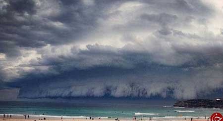 اخبار,اخبارگوناگون , تصاویر  جالب 