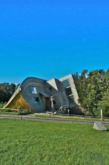 اخبار,اخبار گوناگون,کشتی به گل نشسته