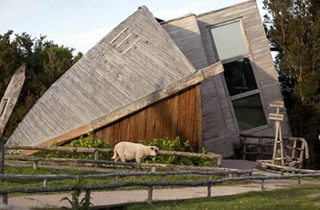 اخبار,اخبار گوناگون,کشتی به گل نشسته