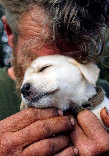 اخبار,اخبار گوناگون,برای سگها مهم نیست شما چقدر پولدارید!
