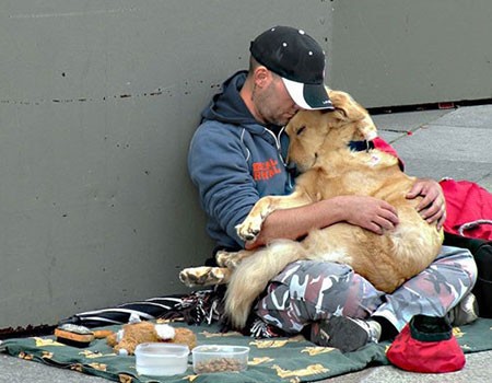 اخبار,اخبار گوناگون,برای سگها مهم نیست شما چقدر پولدارید!