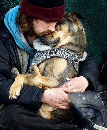 اخبار,اخبار گوناگون,برای سگها مهم نیست شما چقدر پولدارید!