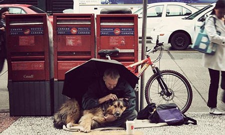 اخبار,اخبار گوناگون,برای سگها مهم نیست شما چقدر پولدارید!