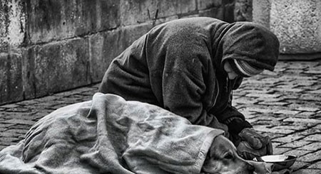 اخبار,اخبار گوناگون,برای سگها مهم نیست شما چقدر پولدارید!