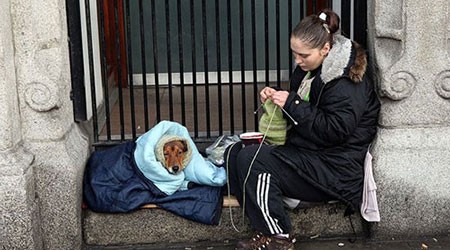 اخبار,اخبار گوناگون,برای سگها مهم نیست شما چقدر پولدارید!