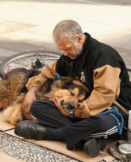 اخبار,اخبار گوناگون,برای سگها مهم نیست شما چقدر پولدارید!
