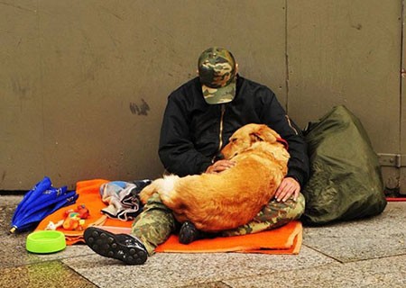 اخبار,اخبار گوناگون,برای سگها مهم نیست شما چقدر پولدارید!