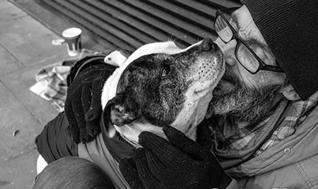 اخبار,اخبار گوناگون,برای سگها مهم نیست شما چقدر پولدارید!