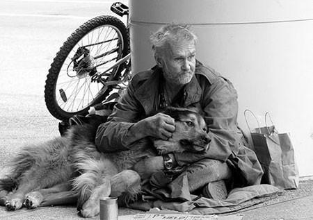 اخبار,اخبار گوناگون,برای سگها مهم نیست شما چقدر پولدارید!