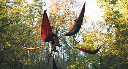 اخبار,اخبار گوناگون,یک استراحت بی‌نظیر در وسط جنگل بین زمین و آسمان