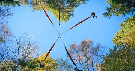 اخبار,اخبار گوناگون,یک استراحت بی‌نظیر در وسط جنگل بین زمین و آسمان