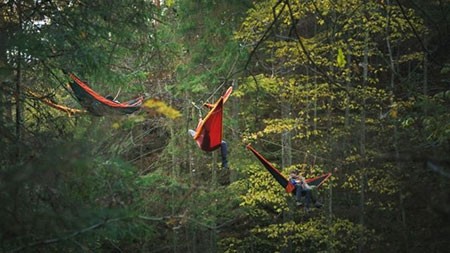 اخبار,اخبار گوناگون,یک استراحت بی‌نظیر در وسط جنگل بین زمین و آسمان