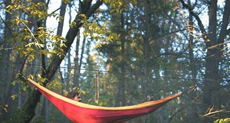 اخبار,اخبار گوناگون,یک استراحت بی‌نظیر در وسط جنگل بین زمین و آسمان