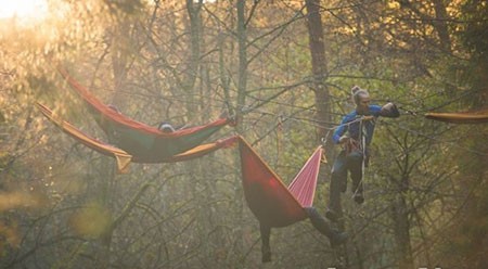 اخبار,اخبار گوناگون,یک استراحت بی‌نظیر در وسط جنگل بین زمین و آسمان
