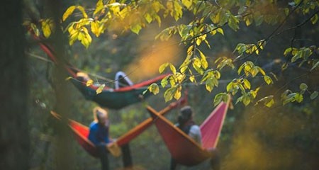 اخبار,اخبار گوناگون,یک استراحت بی‌نظیر در وسط جنگل بین زمین و آسمان